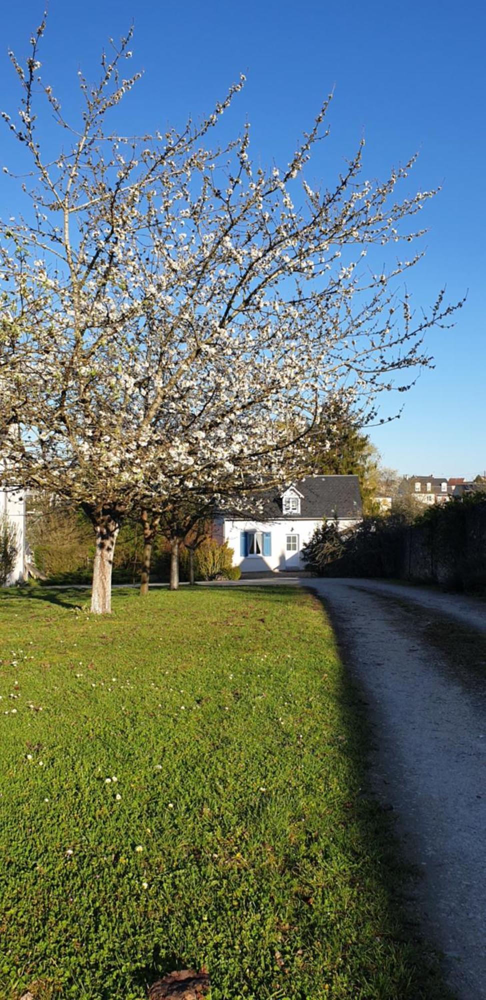 Gite Le Fruitier Beaugency Eksteriør billede